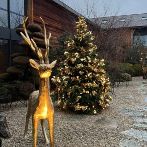Cerf doré 214cm