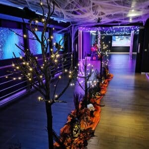 Arbre noir lumineux 60cm
