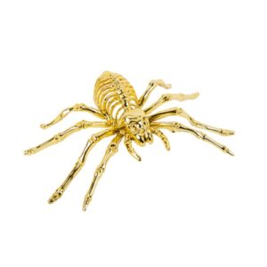 Araignée dorée