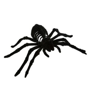 Araignée velours noir